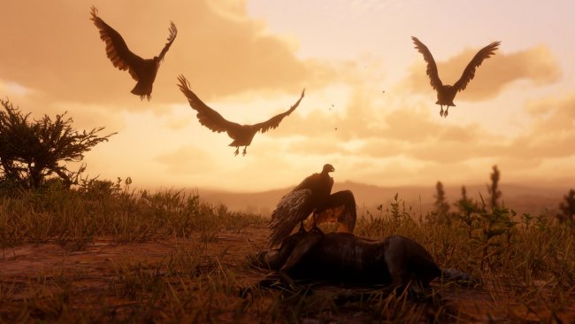رفتار حیات وحش Red Dead Redemption 2 با تغییر فصل عوض می شود